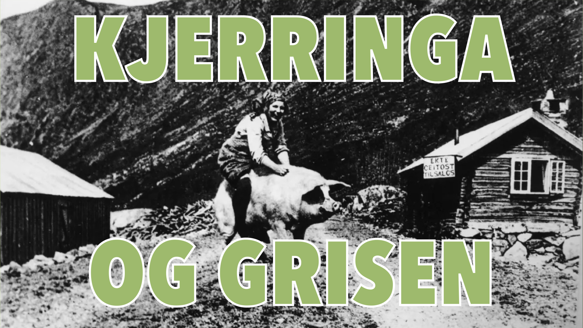 Samspill: Kjerringa og grisen