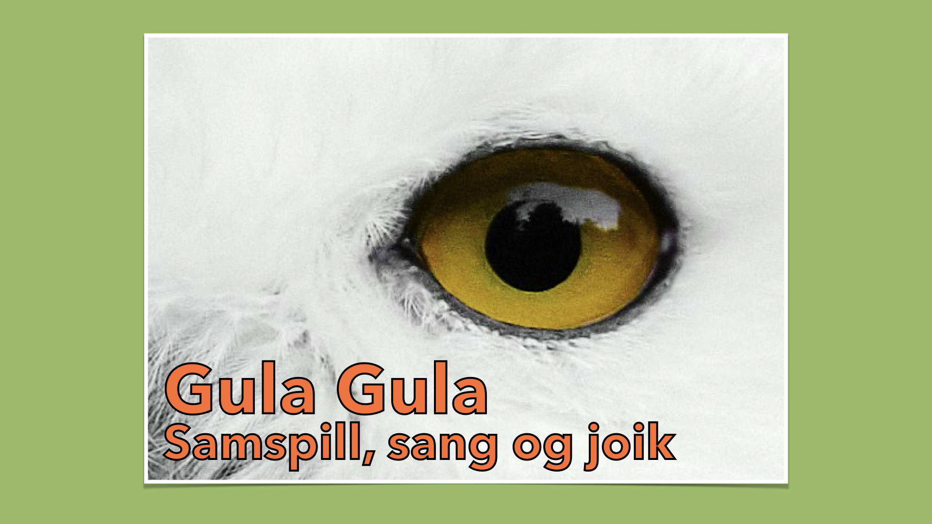 Samspill på sjuende trinn: Gula gula